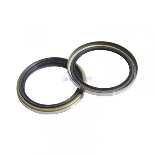 Ow Type Oil Seal without Spring