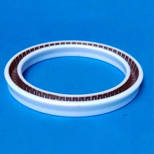 Spring Energized Seal