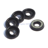 Gas Spring Oil Seals