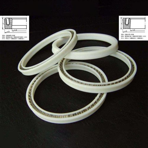 Spring Energized Seal